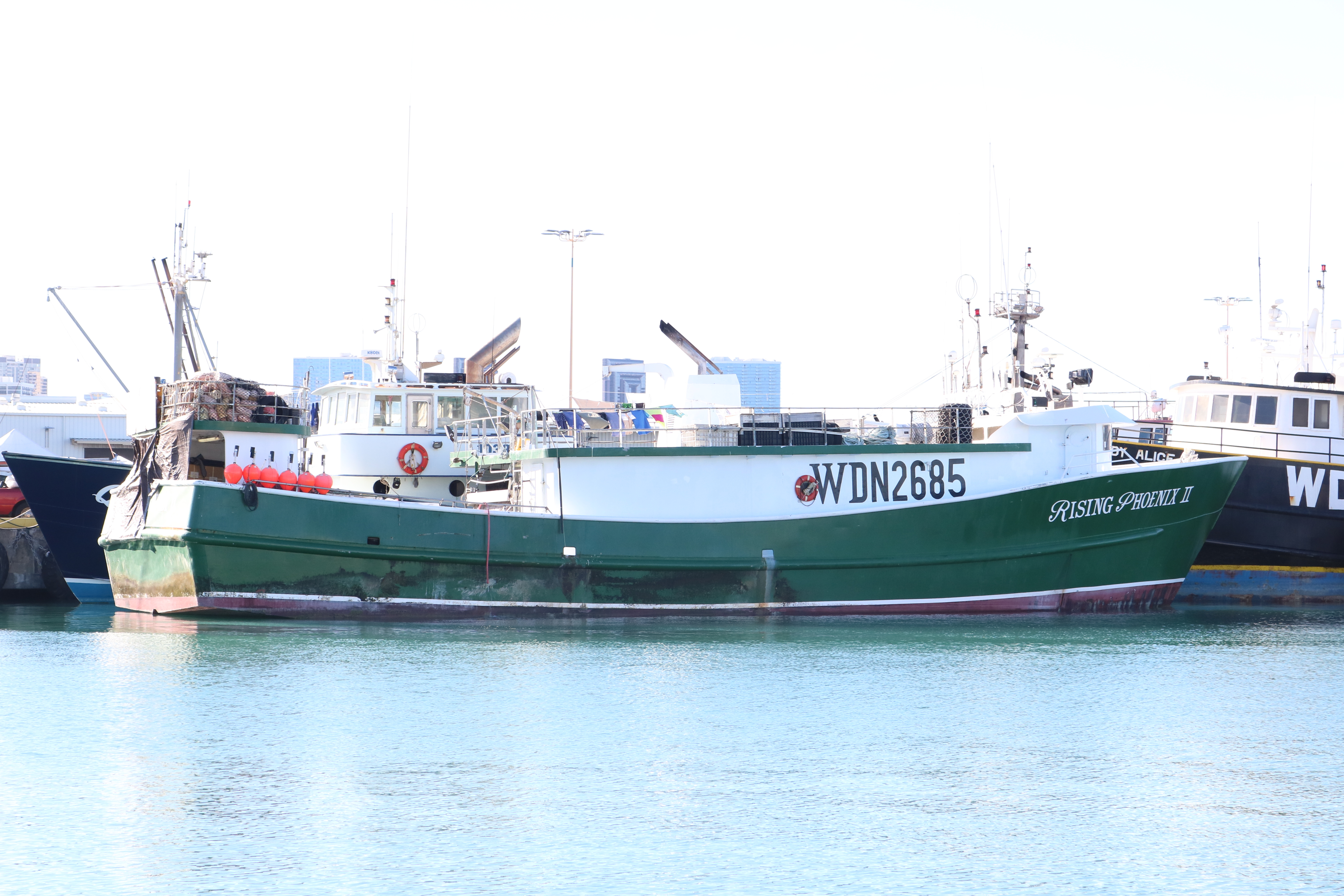 RISING PHOENIX II (VID: 11098) | Record of Fishing Vessels